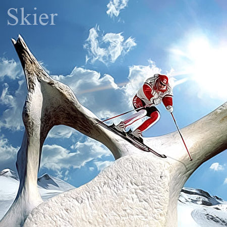 Skier